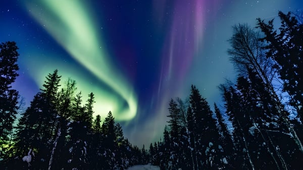 Das Nordlicht leuchtet über einer verschneiten Waldlandschaft auf dem Campus der Sugarloaf Senior High.