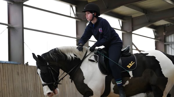 Eine Schülerin sitzt in Reitausrüstung auf einem großen dunklen Pferd in der Reithalle von TASIS The American International School in England.