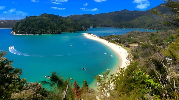 Blick auf einen tropischen Strand mit klarem türkisfarbenem Wasser in der Nähe von Te Puke High School.