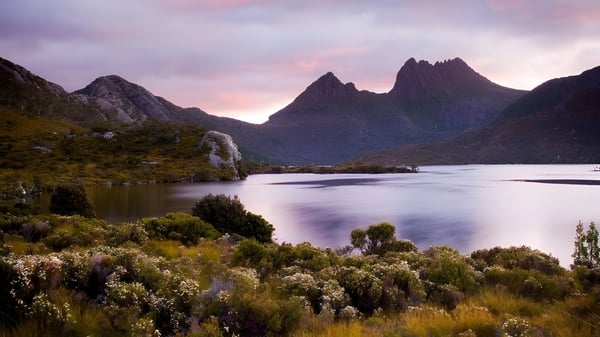 Ein ruhiger See mit Bergen und dichter Vegetation im Vordergrund, umgeben von der Landschaft nahe der The Friends’ School.