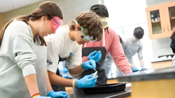 Schüler der The Harvey School arbeiten gemeinsam in Schutzkleidung im Labor an einer praktischen Aufgabe.