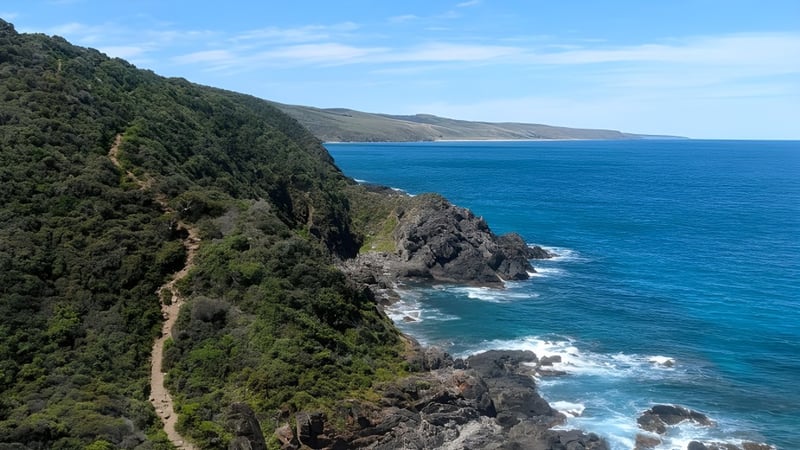 Felsklippen mit dichter Vegetation überblicken das tiefblaue Meer in der Küstenlandschaft nahe der The Heights School.