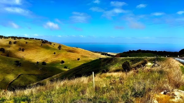Ein grüner Hügel mit Blick auf das weite blaue Meer auf dem Gelände des Thebarton Senior College.
