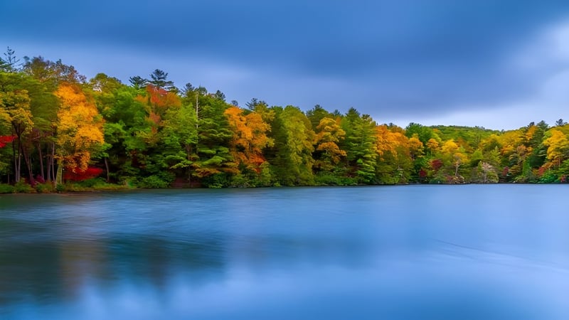Ein ruhiger See umgeben von einem herbstlichen Wald mit bunten Blättern vor dem Hintergrund des blauen Himmels.