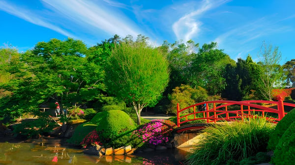 Ein rotes Holzbrücke über einem Teich im Garten auf dem Gelände der Toowoomba Anglican School.