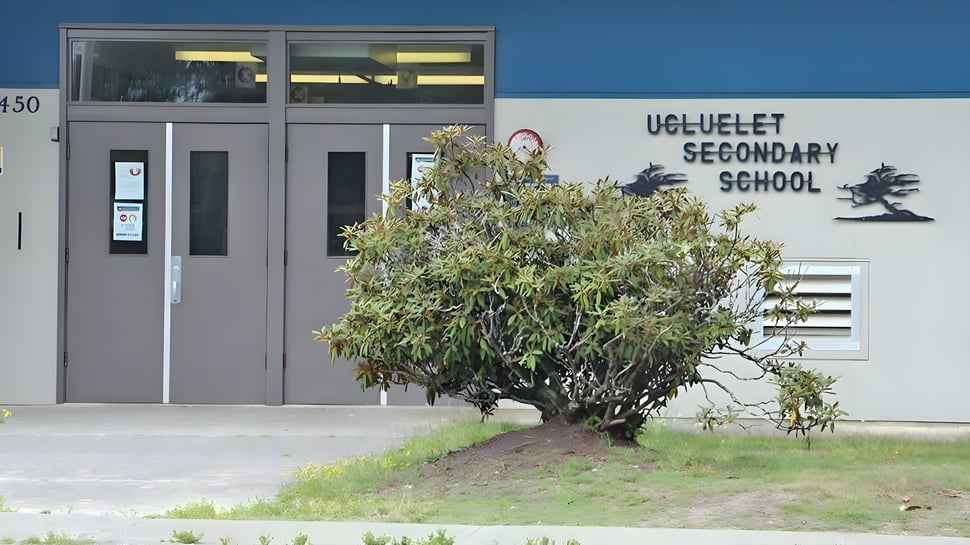 Ein großer Baum steht vor dem Gebäude der Ucluelet Secondary School.