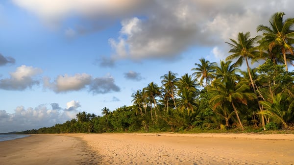 Der tropische Strand mit Palmen und Sand unter bewölktem Himmel am Upper Coomera State College.