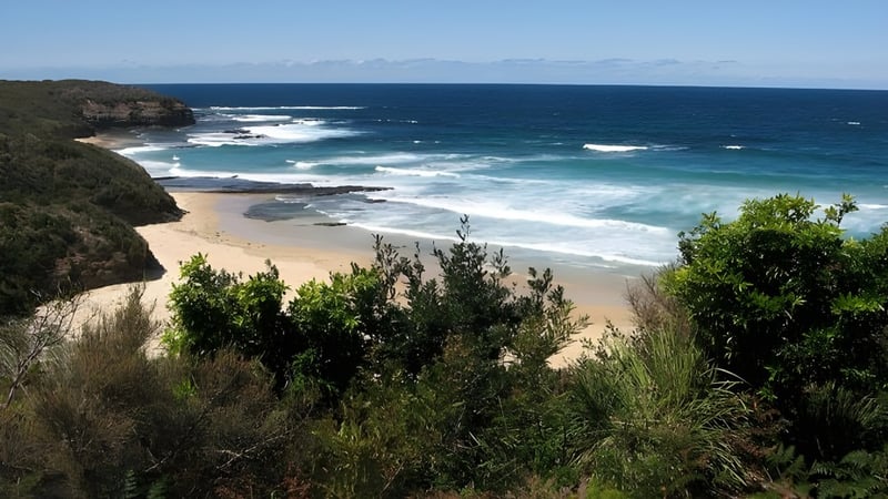 Eine idyllische Küstenlandschaft mit Strand und Meer vor dem Hintergrund eines klaren Himmels.