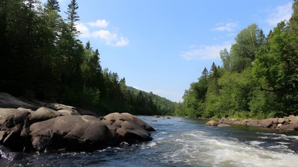 Ein klarer Bergfluss fließt durch eine bewaldete Landschaft mit Felsen im Vordergrund auf dem Gelände des Institut Collégial Vincent Massey Collegiate.