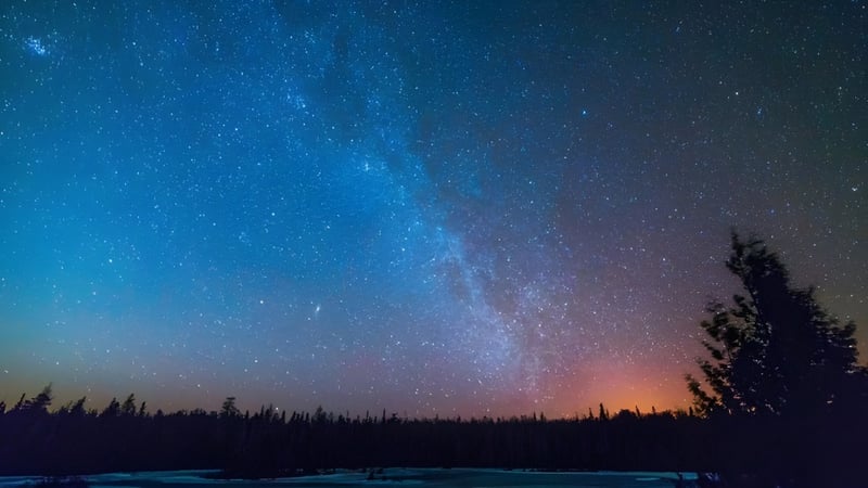 Der Nachthimmel mit der Milchstraße über einem dunklen Wald auf dem Gelände der W.F. Herman Academy Secondary School.