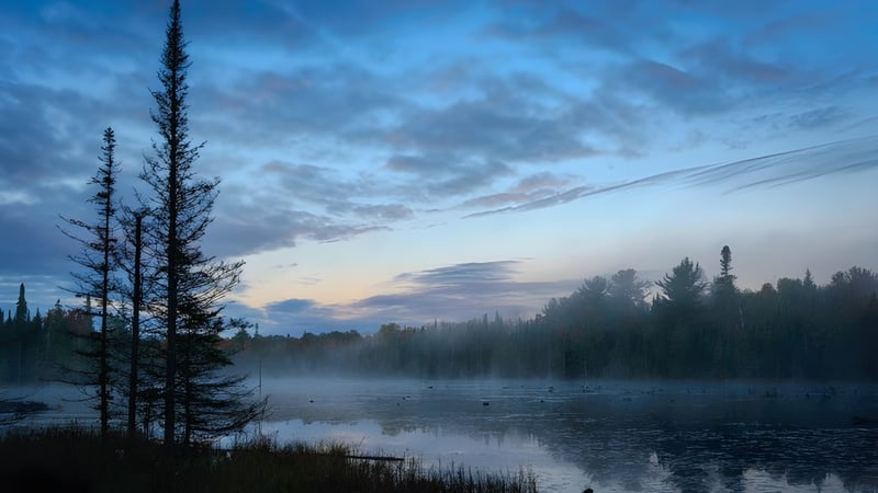 Ein ruhiger See umgeben von dichtem Wald unter einem dramatischen Sonnenuntergangshimmel bei Wallaceburg District High School.