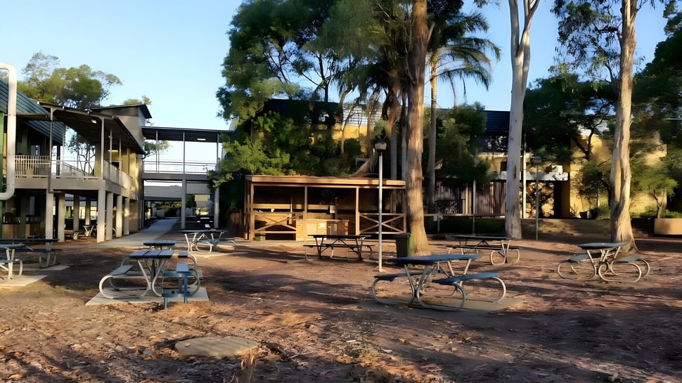 Der Außenbereich der Warners Bay High School mit Sitzgelegenheiten und Bäumen bei Sonnenuntergang.