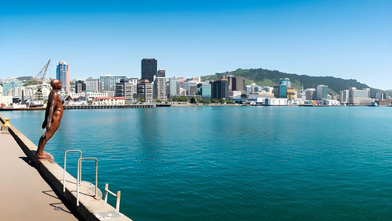Landschaft mit Hochhäusern und Gewässer in der Nähe von Wellington East Girls’ College.