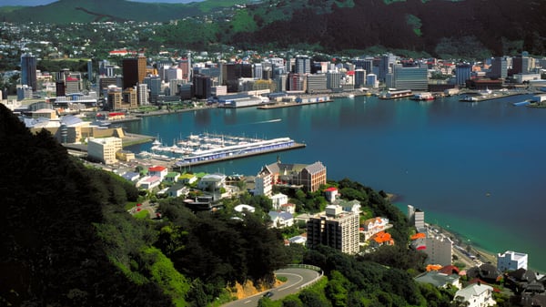 Blick auf die lebendige Stadtlandschaft nahe dem Wellington Girls' College mit Hafen und grünen Hügeln im Hintergrund.