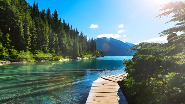 Ein ruhiger See mit einem Steg und umliegenden immergrünen Wäldern in der Nähe der Wellington Secondary School.