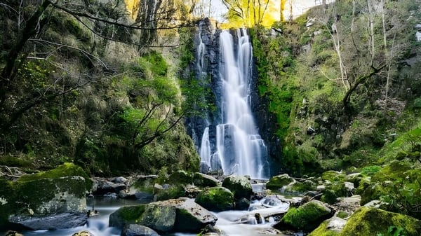 Ein Wasserfall fließt über moosbedeckte Felsformationen in einem Wald nahe der West Ferris School.