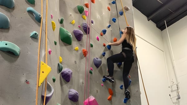 Eine Schülerin oder ein Schüler der West Vancouver Secondary klettert an einer bunten Kletterwand in der Sporthalle.
