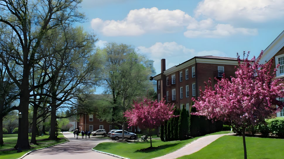 Eine von blühenden rosa Bäumen gesäumte Allee auf dem Campus der Western Reserve Academy mit Backsteingebäuden und grünem Rasen.