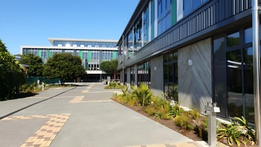 Western Springs College