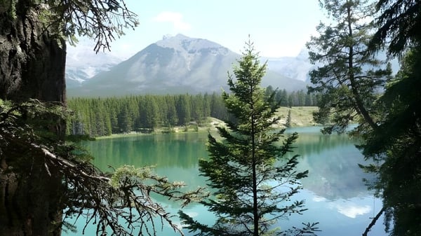 Ein alpiner See mit Bergen und Nadelwald in der Nähe von Westwood Collegiate.