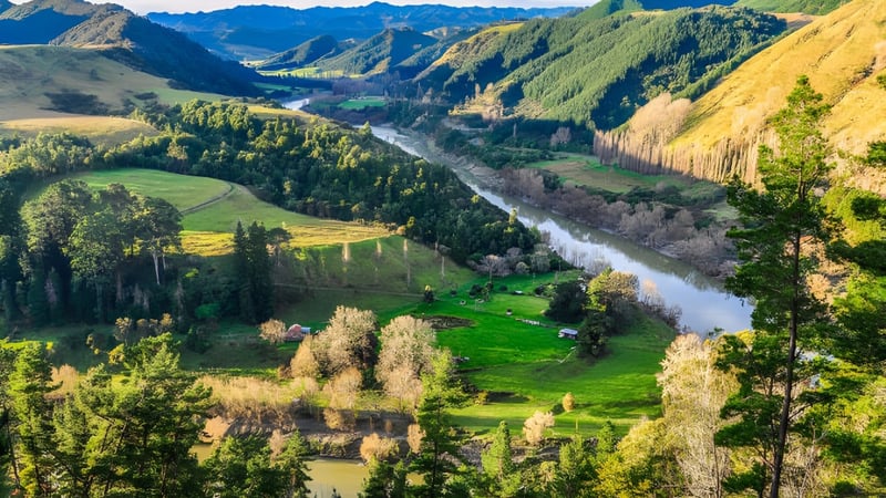 Blick auf ein grünes Tal mit Fluss und Siedlung im Hintergrund in der Nähe des Whanganui City College.