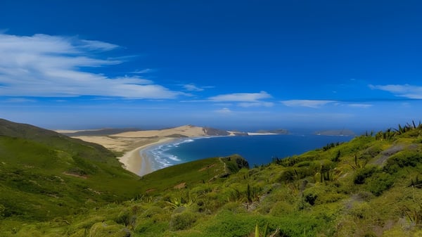 Grüne Hügel und ein Sandstrand an der Küste nahe dem Whangaparāoa College unter blauem Himmel.