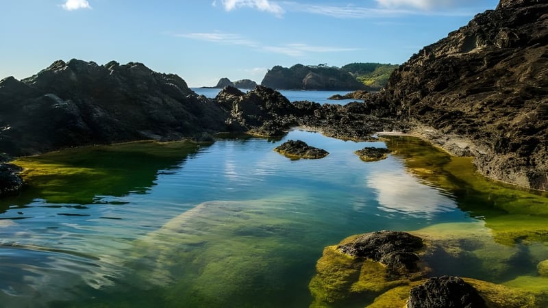 Ein natürlicher Pool mit felsigen Klippen und Inseln, ohne direkten Bezug zur Whangarei Girls High School.