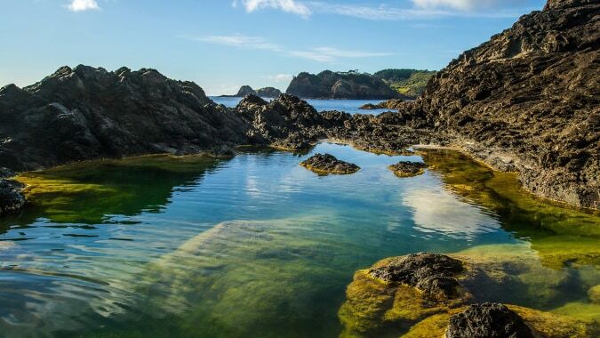 Ein natürlicher Pool mit klaren türkisfarbenen Wassern und umgeben von felsigen Klippen in der Nähe der Whangarei Girls High School.