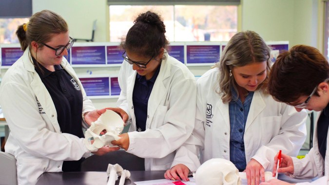 Schüler der Willunga High School untersuchen konzentriert ein Experiment im Labor.