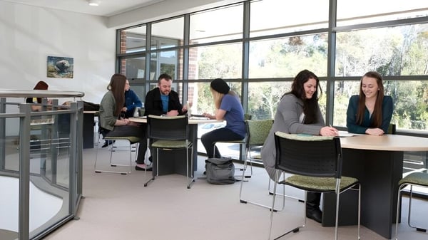 Eine Gruppe von Studierenden der Wollongong University diskutiert gemeinsam in einem modernen Glasbüro.