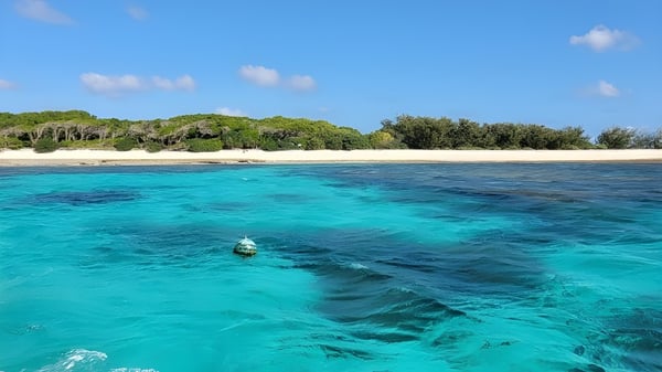 Ein ruhiger tropischer Strand mit dichter grüner Vegetation am Ufer und kristallklarem türkisfarbenem Wasser, aufgenommen bei Woolgoolga High School.
