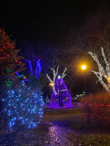 Blog Article Featured Image 10