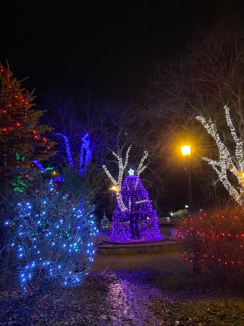 Weihnachtlich beleuchtete Bäume