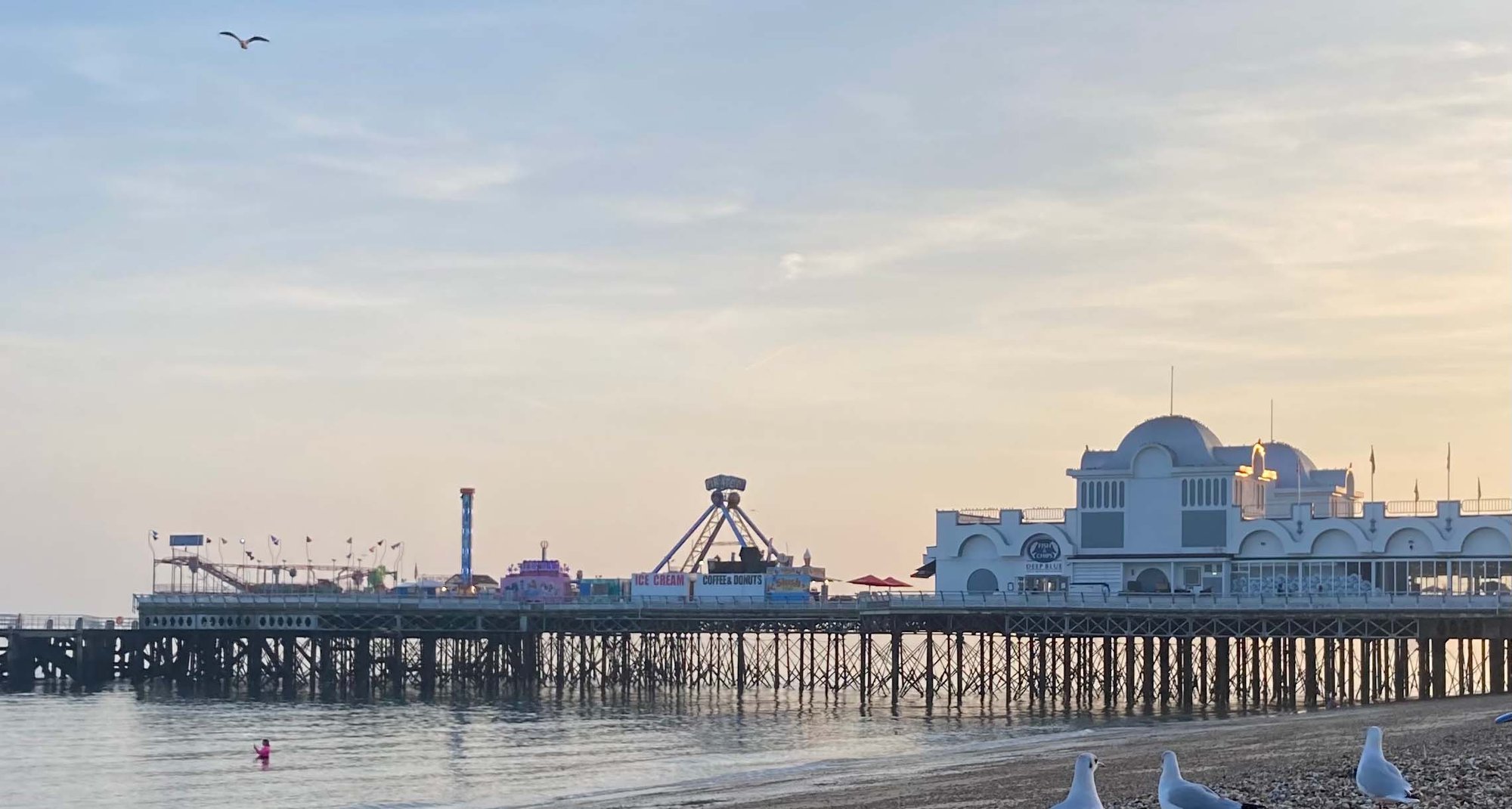 Sofie Antolic Schule