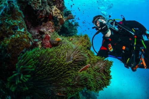 Strände & Great Barrier Reef 
