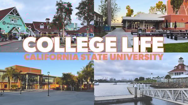 school video