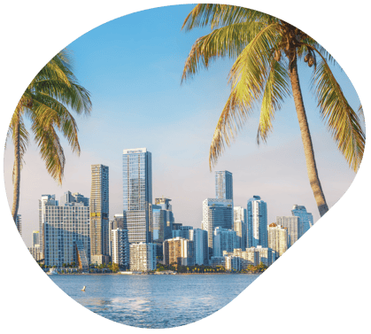 USA Florida Header -01