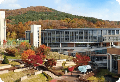 USA Maja Krauss Bild 5 4-3-1