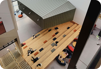 USA Maja Krauss Bild 5 4