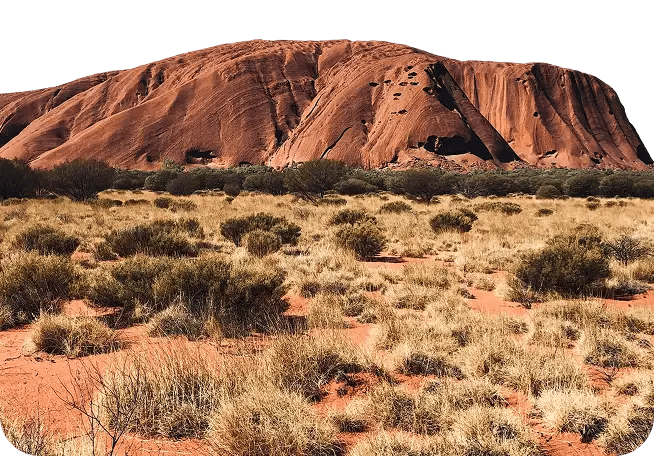 USA Phoenix 2 (1) (1)-1