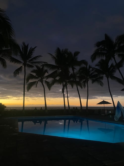 Palmen am Pool im Sonnenuntergang