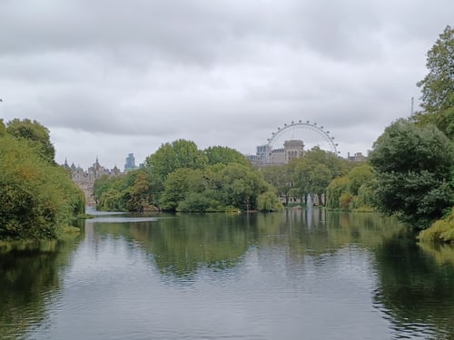 Ein See mit Bäumen am anderen Ufer und das London Eye im Hintergrund