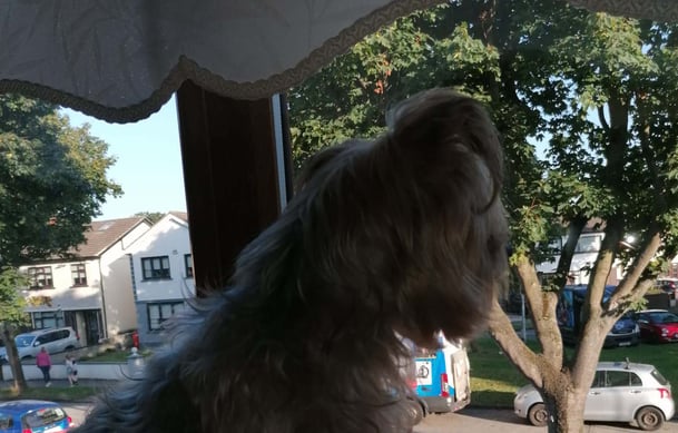 Yaro Schneider Gastfamilie