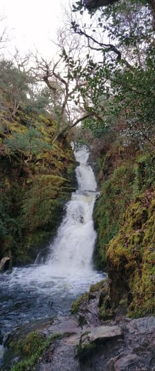 Yaro Schneider Monatsbericht 2