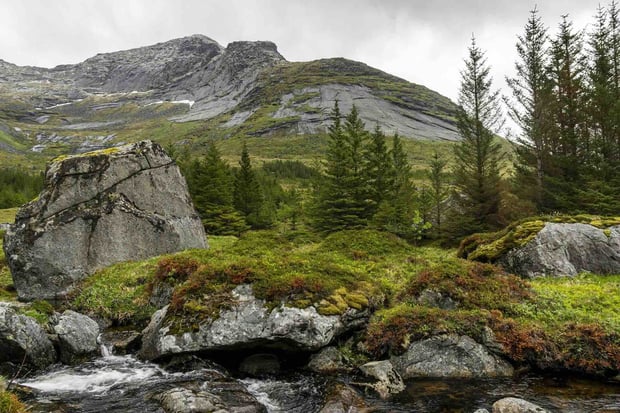 lofoten-4924939_1920-1