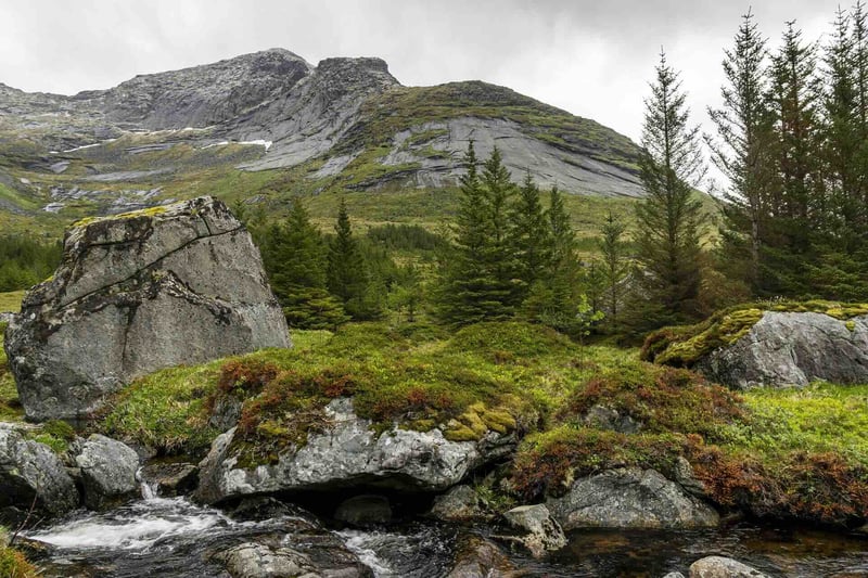 lofoten-4924939_1920-1