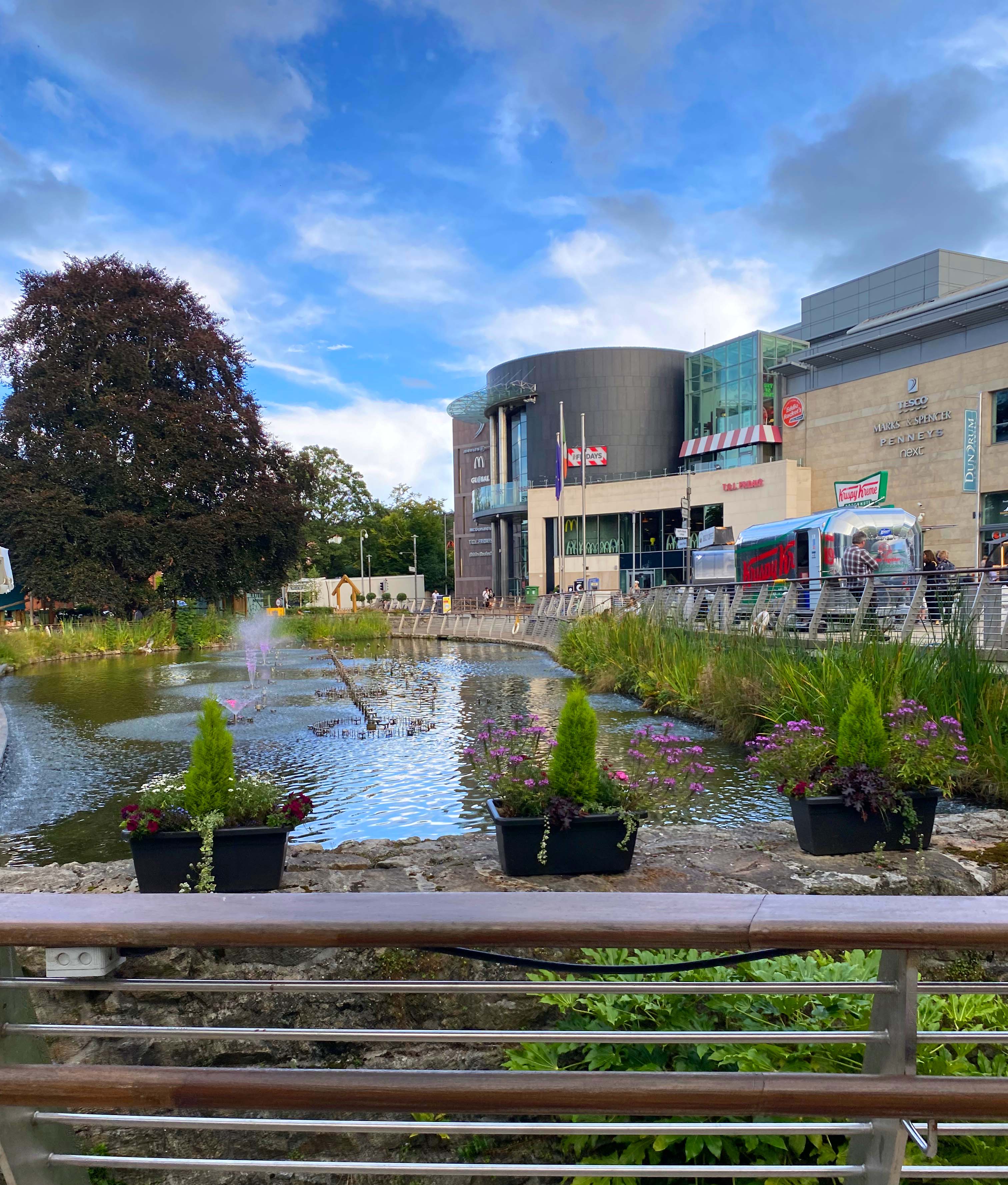 Ein botanischer Garten in Irland