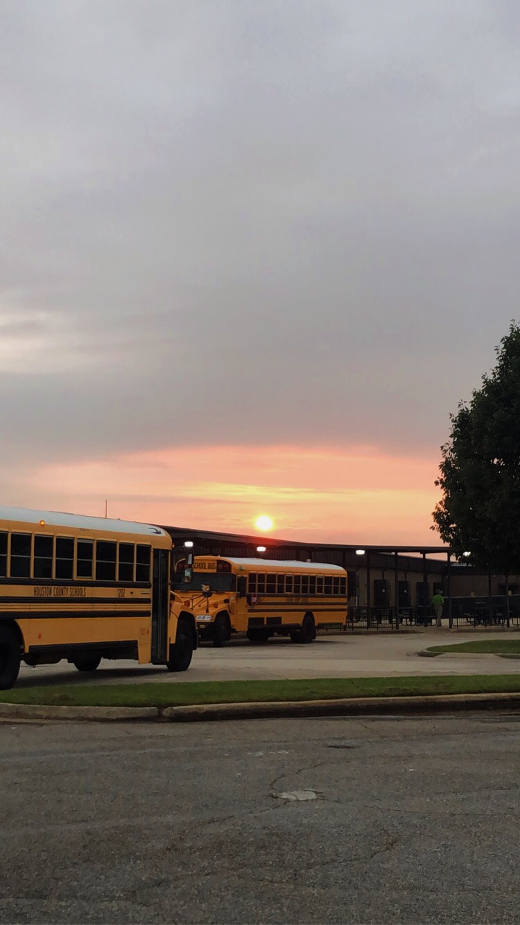 Schulbusse mit Sonnenuntergang im Hintergrund